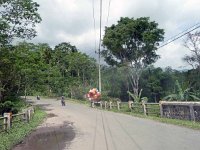 P1010809