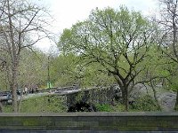 P1000565