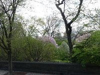 P1000583