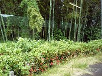 P1000122