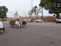 P1000542
