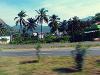 P1000580