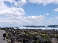 P1010156