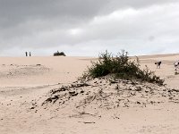 P1010158  Dunes at Cortellejo