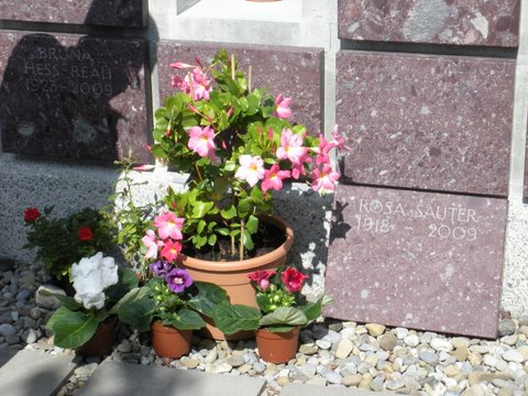DSCN0480.JPG