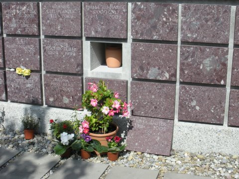 DSCN0482.JPG