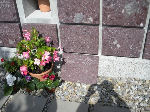 DSCN0486.JPG