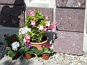 DSCN0480
