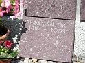 DSCN0481