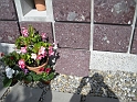 DSCN0486