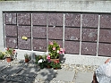 DSCN0492