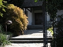 DSCN0531