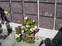 DSCN0536